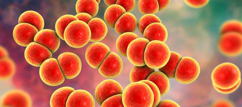 gonorrhea treatment
